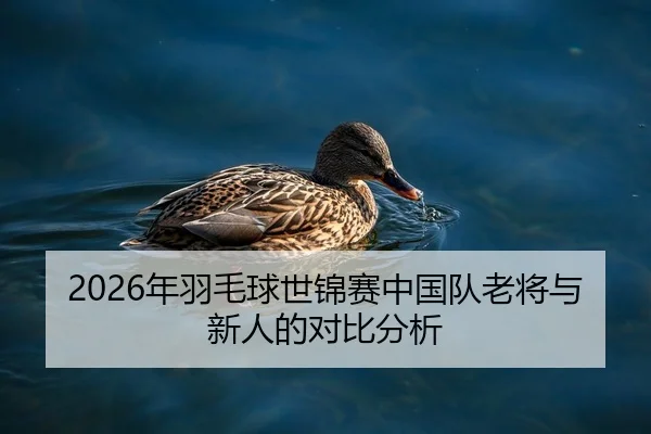 2026年羽毛球世锦赛中国队老将与新人的对比分析