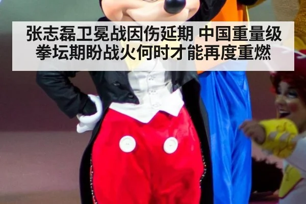 张志磊卫冕战因伤延期 中国重量级拳坛期盼战火何时才能再度重燃